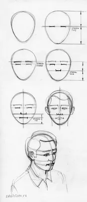 Как нарисовать лицо человека. Построение и пропорции лица. - YouTube