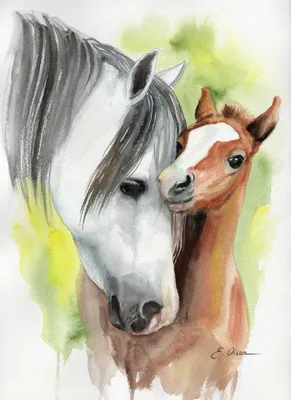 Лошадь с жеребенком рисунок акварелью - 71 фото