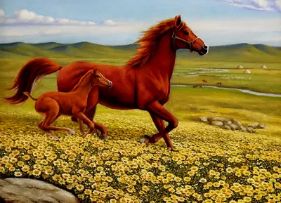 Картина по номерам \"Лошадь с жеребенком в загоне\"