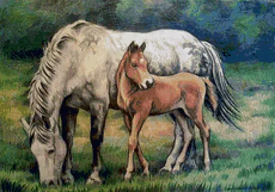 Набор лошадь с жеребенком Счастье рядом 148818808 купить за 862 ₽ в  интернет-магазине Wildberries