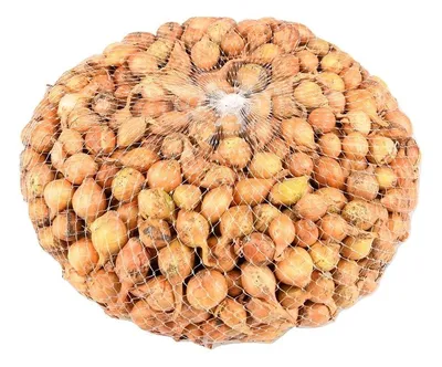 Семена Лук ЛЕТО купить по выгодной цене в интернет-магазине OZON (240717886)
