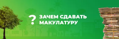 Сбор макулатуры — Школа №619