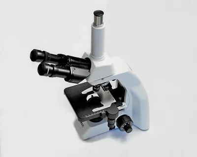 Купить микроскоп Levenhuk MED 40T, тринокулярный - интернет-магазин Levenhuk