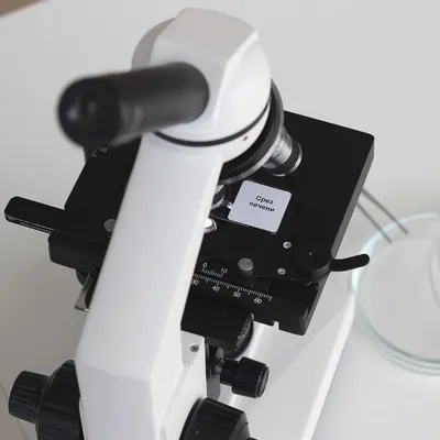 Типы световых микроскопов