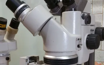 Микроскоп биологический Микромед 1 (2-20 inf.) купить в Минске. Микроскопы,  продажа, цены | Первый поставщик.