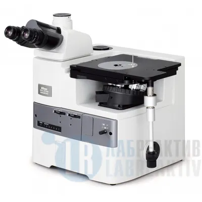 Купить микроскоп Levenhuk MED 35B, бинокулярный - интернет-магазин Levenhuk
