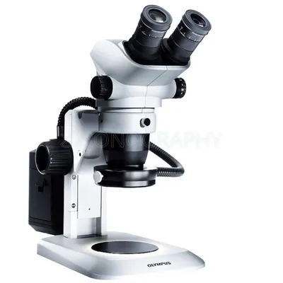 Инвертированный металлографический микроскоп NIKON ECLIPSE MA200 по цене  производителя с доставкой по РФ — Лабреактив.