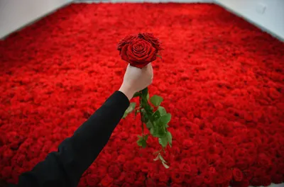 Стихотворение «278 Миллион алых роз (Текст песни для корпоратива)», поэт  Таран Геннадий