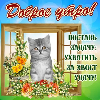 Картина по номерам \"Милый котёнок\"