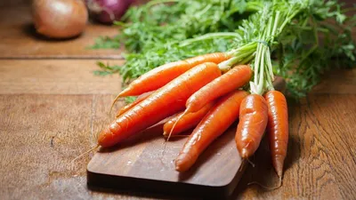 Морковь — польза и вред для организма человека