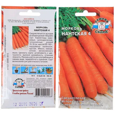 Морковь для зрения. Полезные свойства и противопоказания