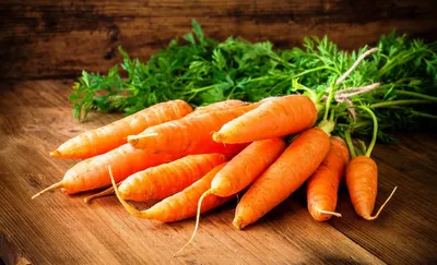 Купить семена моркови Проминанс F1 в Казахстане – Продажа голландских семян  моркови Prominence оптом и в розницу в магазине Enza Zaden Kazakhstan