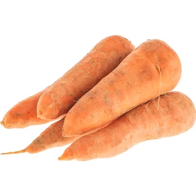 Морковь немытая - купить по цене: 54 руб./кг в интернет-магазине \"РыбоедовЪ\"