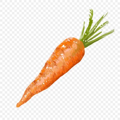 Пюре ФрутоНяня из моркови 80 г с 4 месяцев купить по цене 43.3 ₽ в  интернет-магазине Детский мир