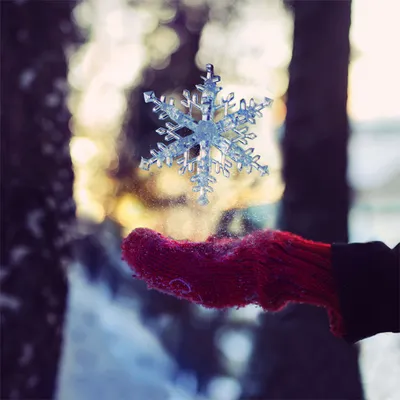 Снеговик, видео рождество, аватарка снеговика фон картинки и Фото для  бесплатной загрузки