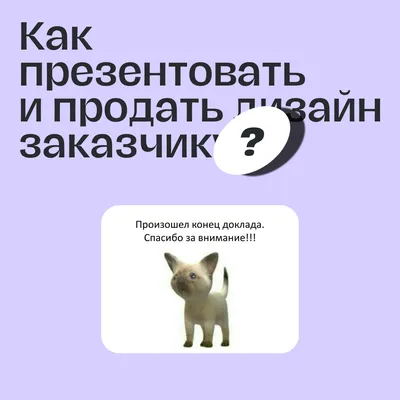 Как презентовать и продать дизайн заказчику? — Катя Рабцун на TenChat.ru