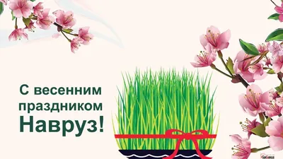 Наврӯз Муборак! Happy Nawruz! С Праздником Навруз! !نوروز مبارک |  International Trade Centre, Tajikistan