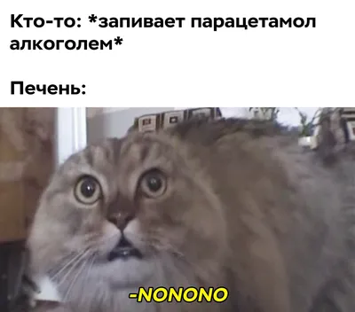 и не надо так орать я и в первый раз все прекрасно слышал и видел! — УАЗ  31514, 2,5 л, 1997 года | аксессуары | DRIVE2