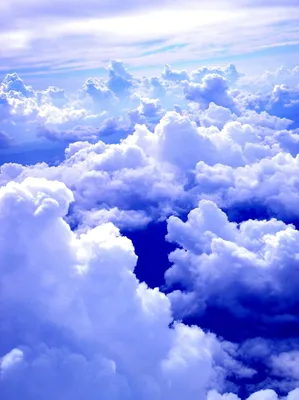 Фотообои Небо с облаками купить в Оренбурге, Арт. 10-934 в  интернет-магазине, цены в Мастерфресок