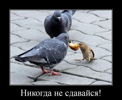С другой стороны... | Пикабу