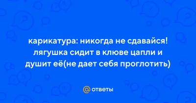 фигурка Цапля и лягушка - Никогда не сдавайся - купить в магазине  БронзаМания
