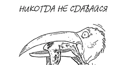 Мужская толстовка «Не сдавайся! Никогда не сдавайся!» цвет белый - дизайнер  принта Lusy
