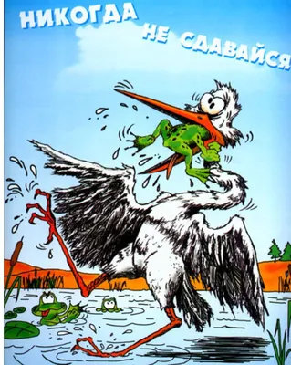 Для сэра ЖАБА... Продолжение истории - никогда не сдавайся ....