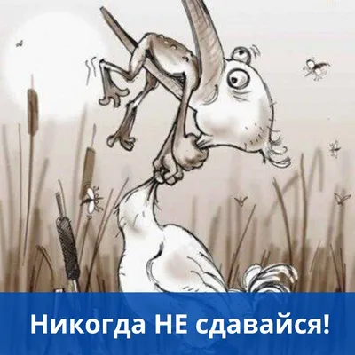модель мужчина мем с походкой｜Поиск в TikTok