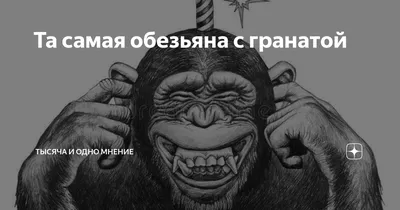 Обезьяна с гранатой» — создано в Шедевруме