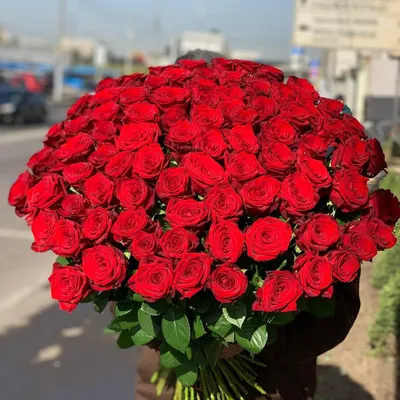 Огромный букет красных роз - 79 фото