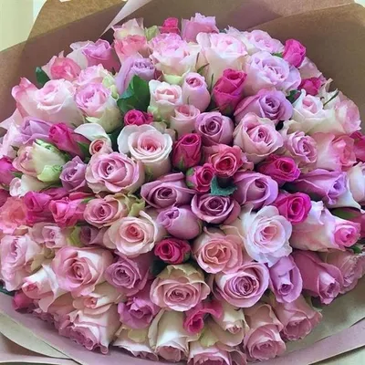Огромный букет из 101 белой Премиум розы - Доставкой цветов в Москве! 41894  товаров! Цены от 487 руб. Цветы Тут