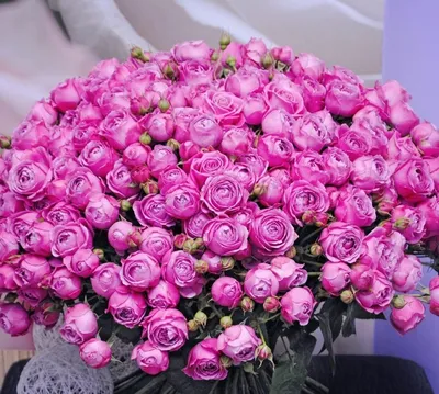 Огромный букет роз - купить в Москве по отличной цене с недорогой доставкой  в цветочном магазине BotanicaLab