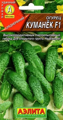 Огурцы свежие Гладкие Среднеплодные - с доставкой на дом купить онлайн в  Москве