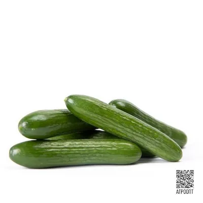 Семена Агрони Огурец САЛТАН F1 4742 - выгодная цена, отзывы,  характеристики, фото - купить в Москве и РФ