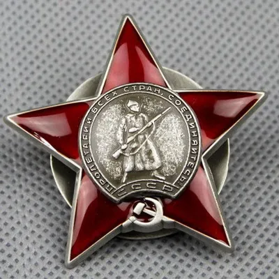 Сувенирный муляж ордена Красной Звезды - купить с доставкой по выгодным  ценам в интернет-магазине OZON (904049904)