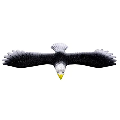 Картинки птица, красота, птицы мира, орел, черно белый - обои 1366x768,  картинка №130114