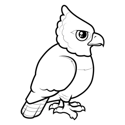 Рисунок Beak Line арт, орел, белый, животные, рука png | Klipartz