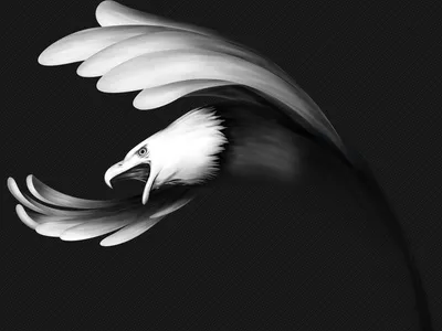 Стилизованное изображение орла или Феникс в черно-белой Иллюстрация вектора  - иллюстрации насчитывающей ангстрома, фантазия: 186328078