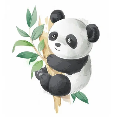 Панды — раскраски для детей скачать онлайн бесплатно