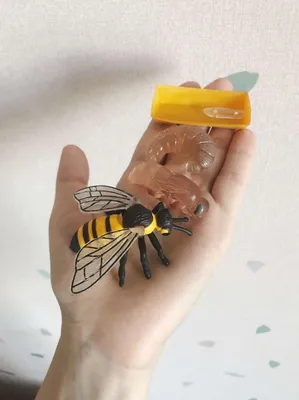 Пчёлы-одиночки: как в природе живут пчелы без колоний и ульев