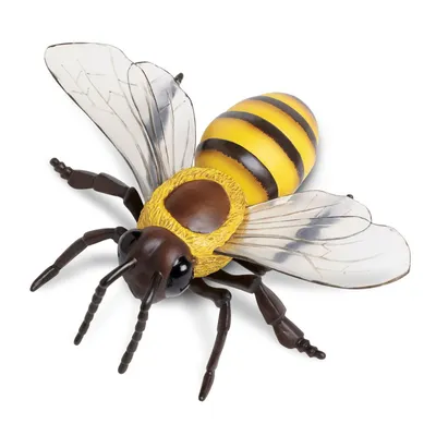 Пчелы массово умирают в мире - почему и что будет, если их не станет |  Стайлер