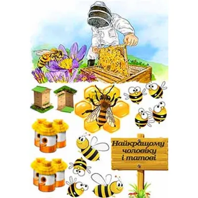 Фигурка насекомого Safari Ltd Пчела XL, для детей, игрушка коллекционная,  268229 - купить с доставкой по выгодным ценам в интернет-магазине OZON  (160696685)