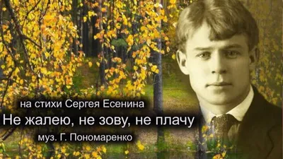 В Тюмени родители могут стать участниками программы «Мама, я плачу, потому  что…» - Родительский портал