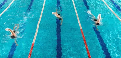 Плавание способствует образованию новых нервных клеток, улучшает память и  снижает тревогу