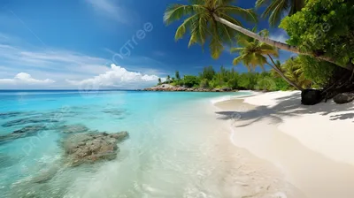 пляж с пальмами иллюстрация штока. иллюстрации насчитывающей кокос -  272016989
