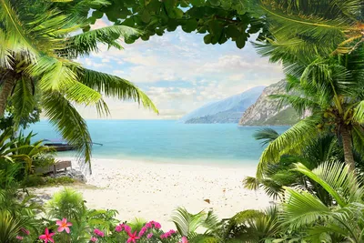 Обои пляж, 5k, 4k, пальма, океан, beach, 5k, 4k wallpaper, palm. ocean,  Природа #7037