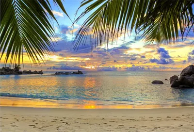 Картинки пляж песок пальмы (59 фото) » Картинки и статусы про окружающий  мир вокруг