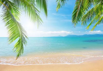 Пляж, пальмы, средиземное море, …» — создано в Шедевруме