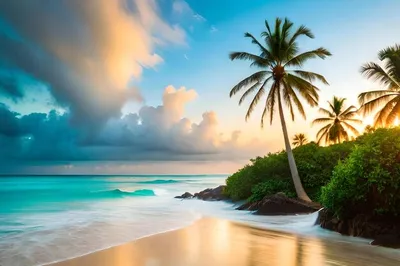 Пляж с пальмами рисунок - 75 фото