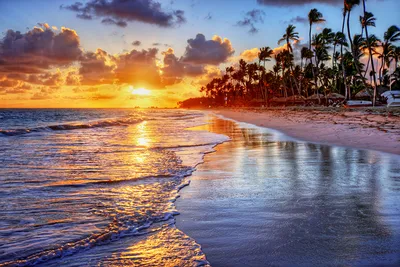 Фотообои Красивый пляж с пальмами купить на стену • Эко Обои